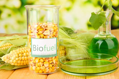 Stanion biofuel availability